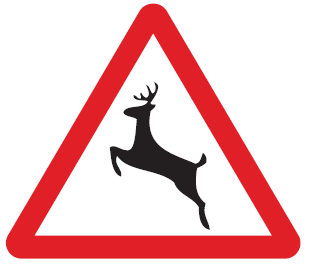 WILD ANIMALS